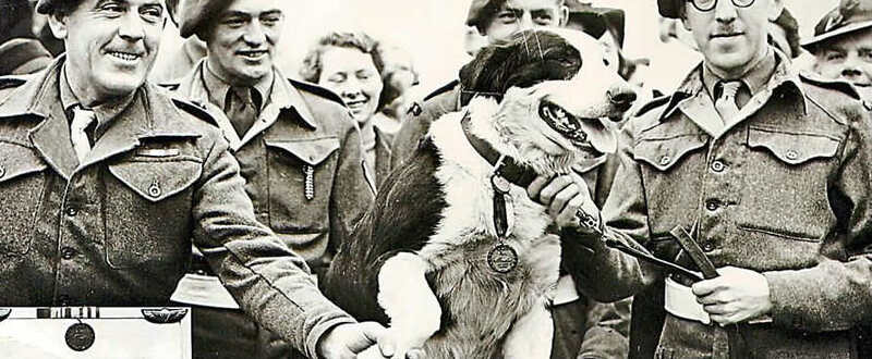 Animales durante la Segunda Guerra Mundial 